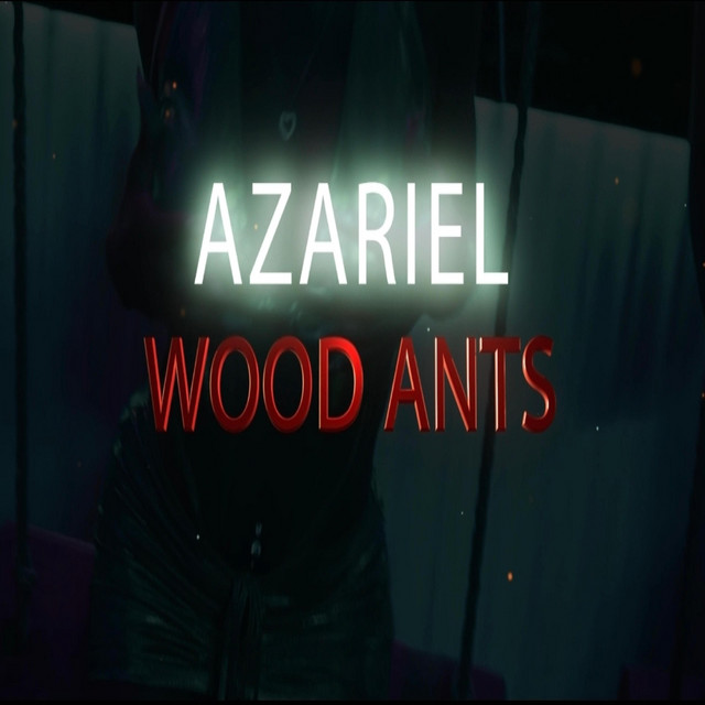 Wood Ants album image