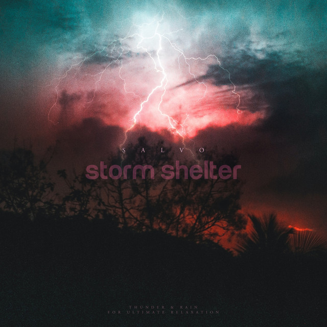 Cover of Storm Shelter by Salvo