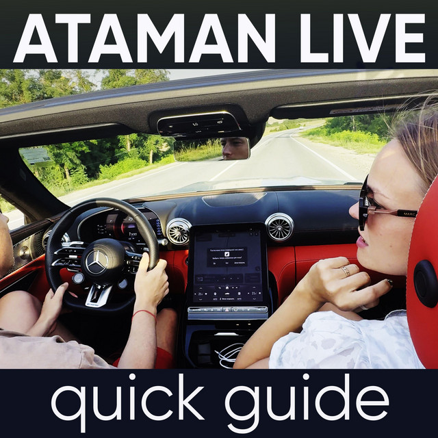 Quick Guide cover art