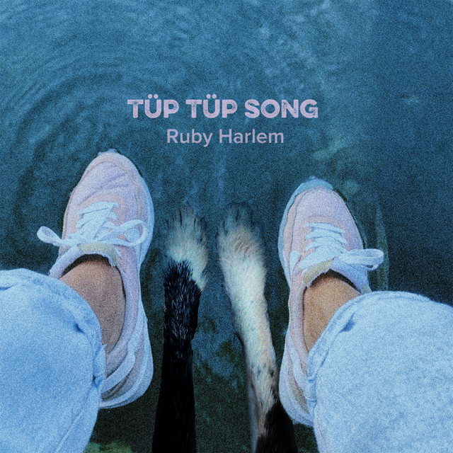 TÜp TÜp Song