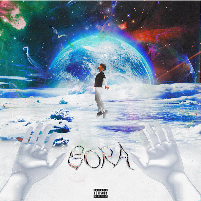Sora cover art