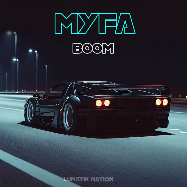 Boom cover