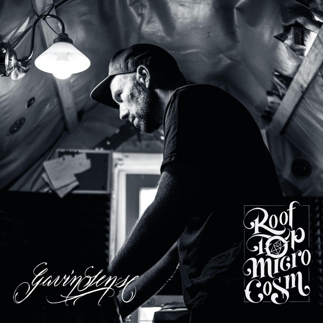 Rooftop Microcosm cover art