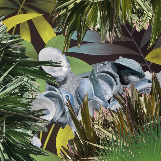 Macaw cover