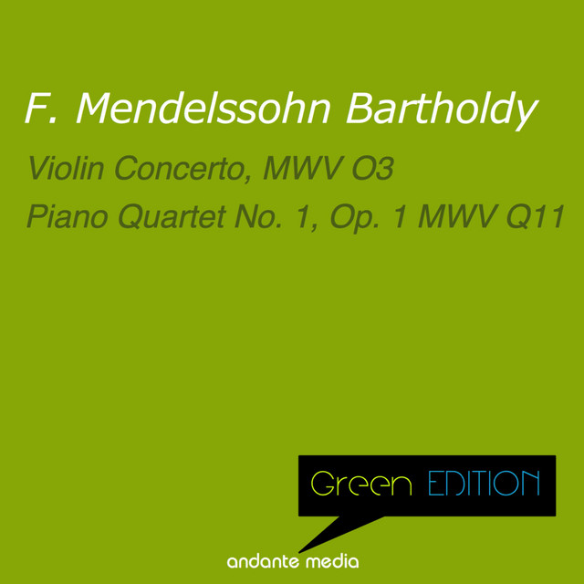 Violin Concerto in D Minor, MWV O3: I. Allegro