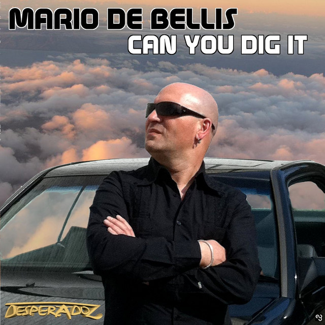 Can you dig it cover art