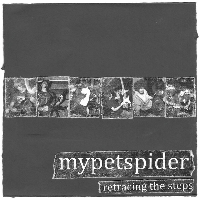 Retracing The Steps cover art