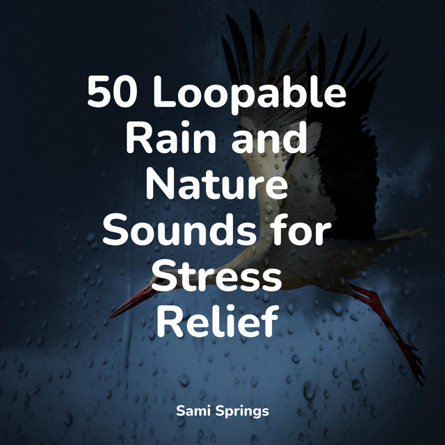 50 Loopable Rain and Nature Sounds for Stress Relief - Album by ...