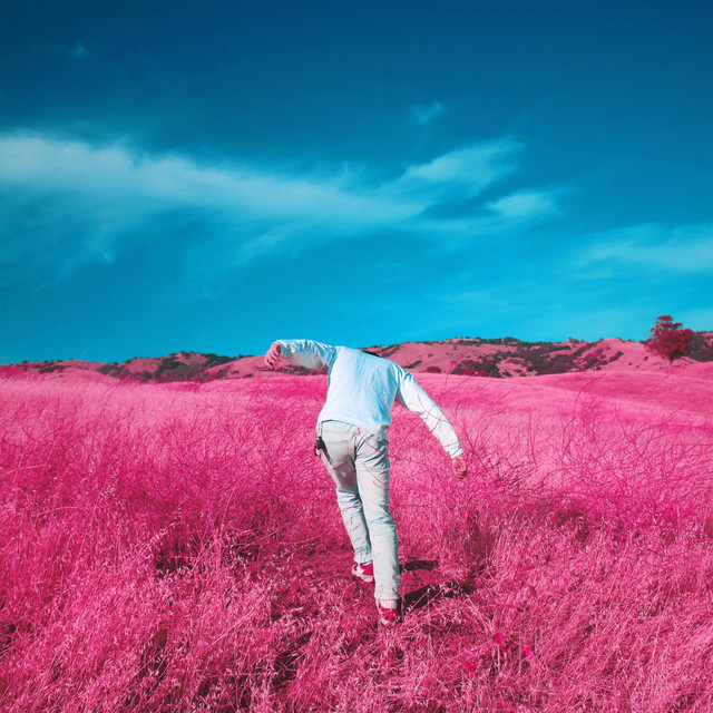 Hidden cover art