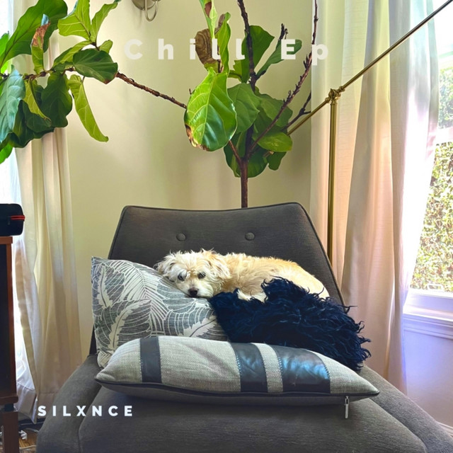 Chill EP album image