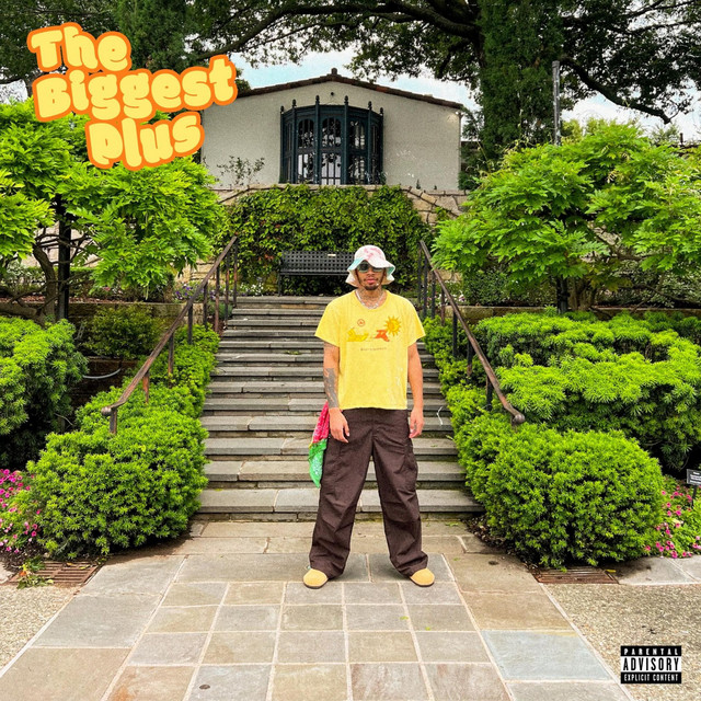 THE BIGGEST PLUS cover art