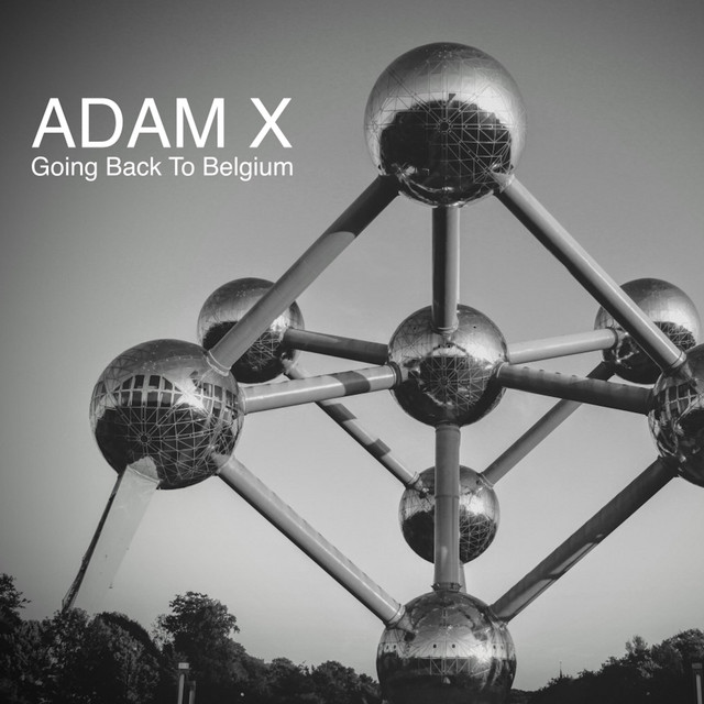 Going Back to Belgium cover art