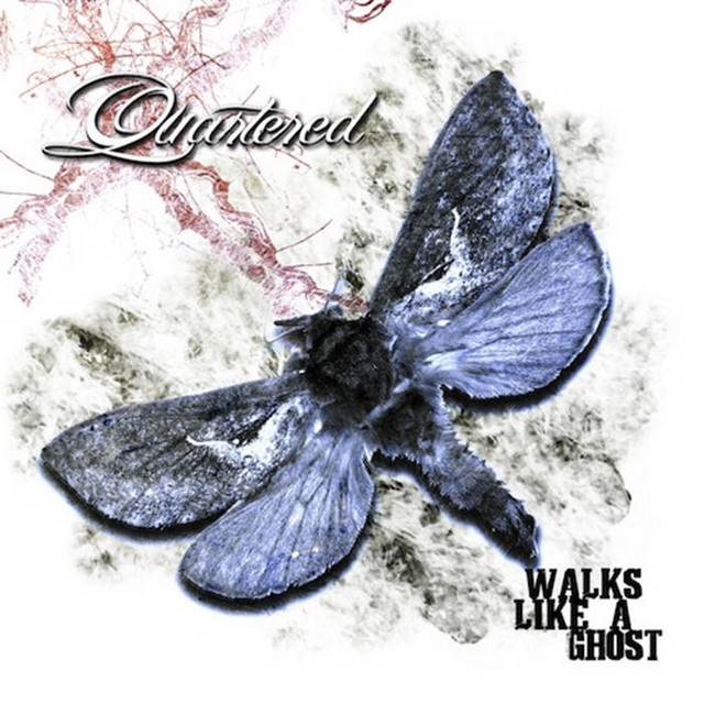 Walks like a ghost cover