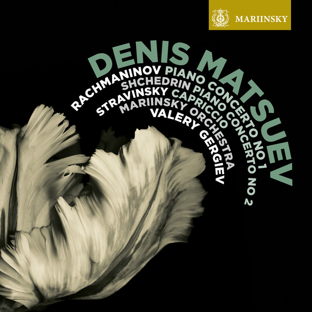 Piano Concerto No. 1 in F-Sharp Minor, Op. 1: I. Vivace