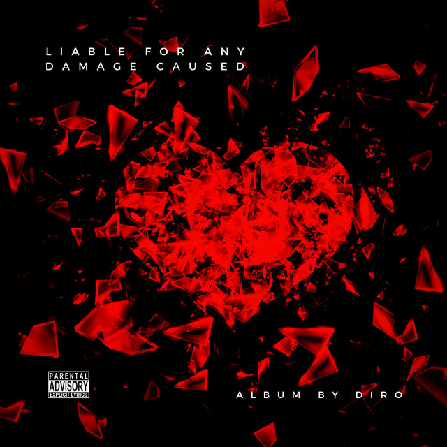 Liable for Any Damage Caused cover art