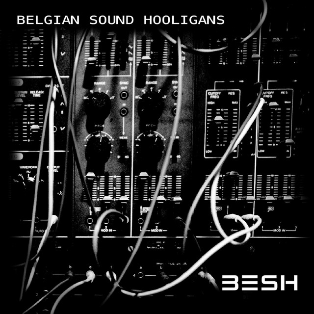 Belgian Sound Hooligans cover art