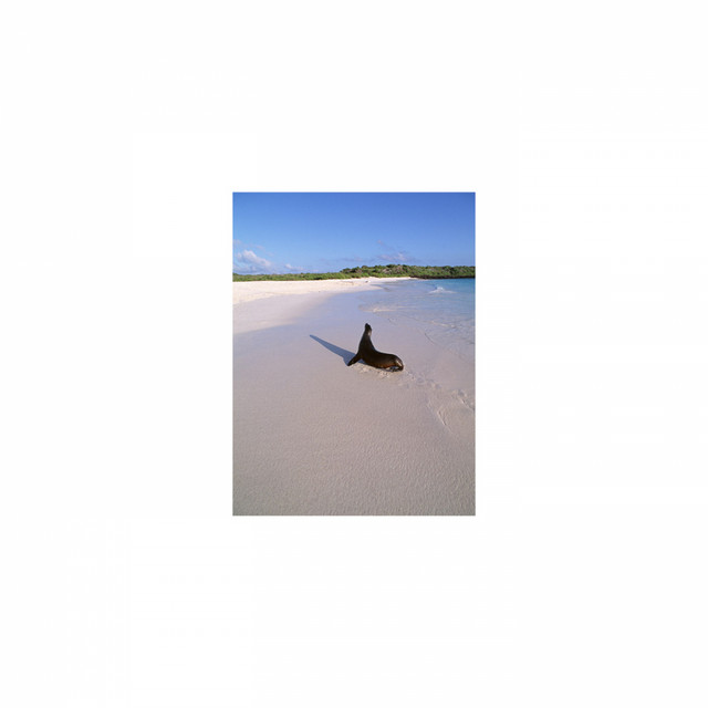 Mindfulness Healing Sleep BGM Project