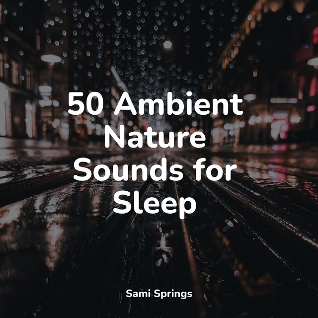 50 Calming Rain Sounds for Spa & Meditation - Album by Binaural Beats ...