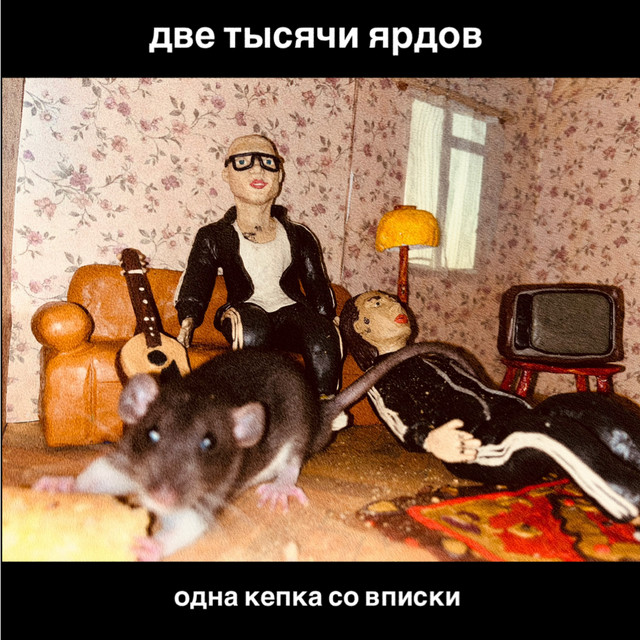 одна кепка со вписки cover art