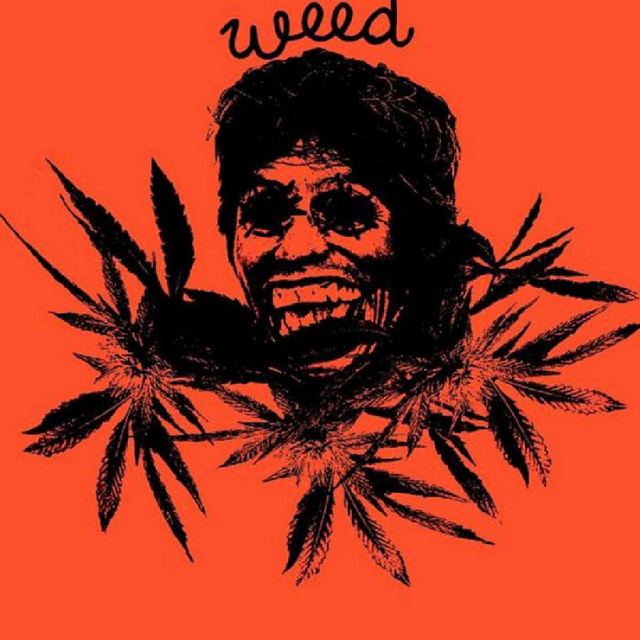 Garden Of Weeden cover art