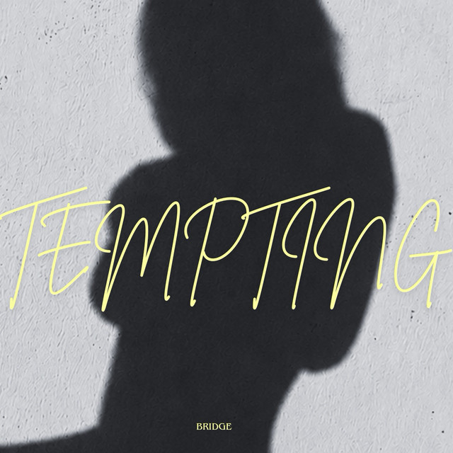 Tempting cover art