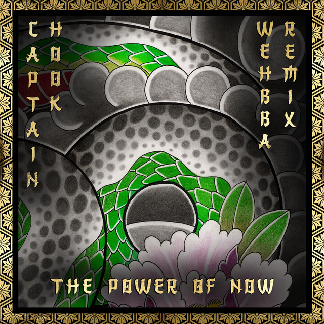 The Power of Now (Wehbba Remix) artwork