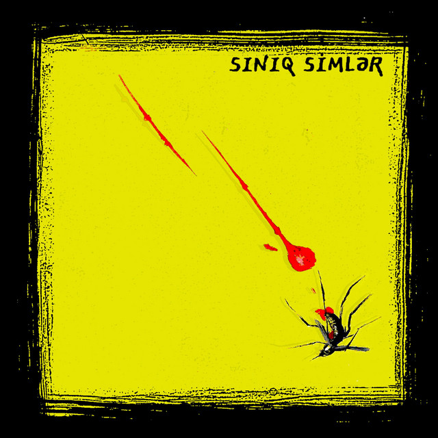 Sınıq simlər cover art