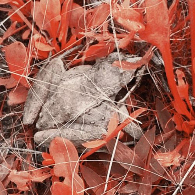 Memories Left Behind