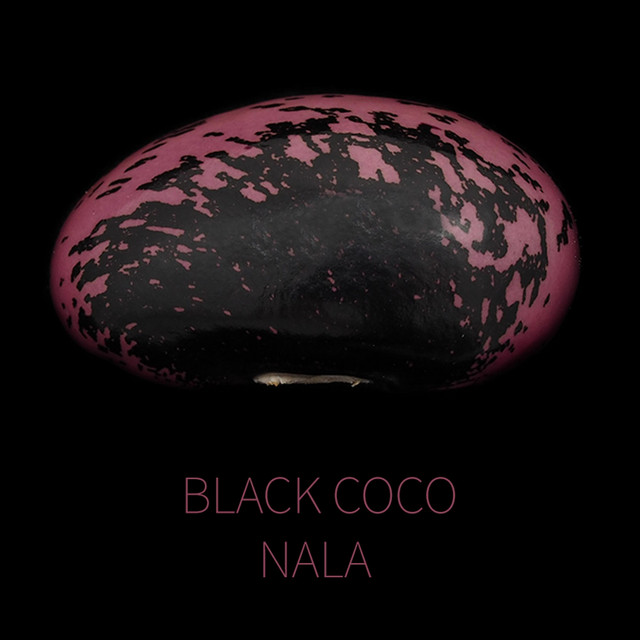 Black Coco cover art