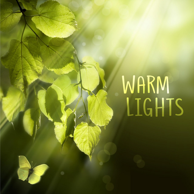Warm Lights cover art