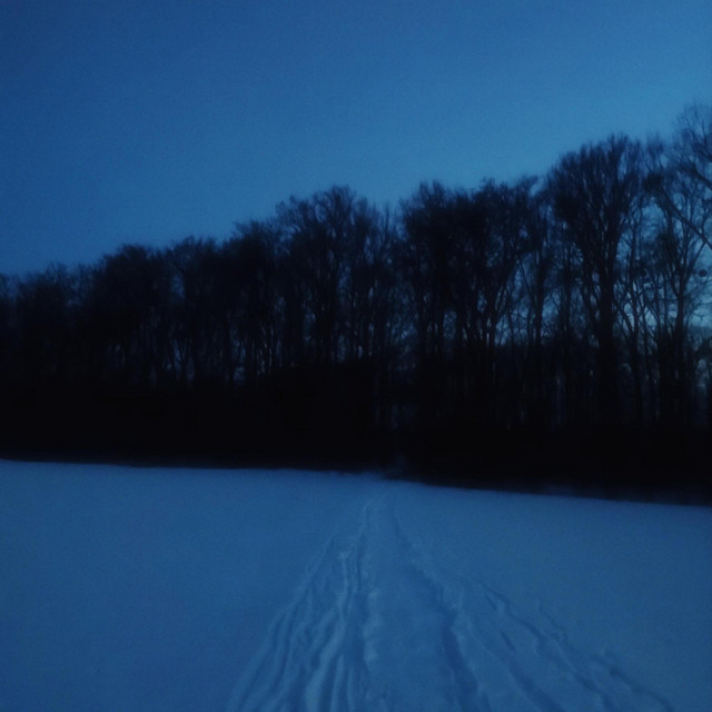 Обкладинка: sometimes i want to disappear — nexist