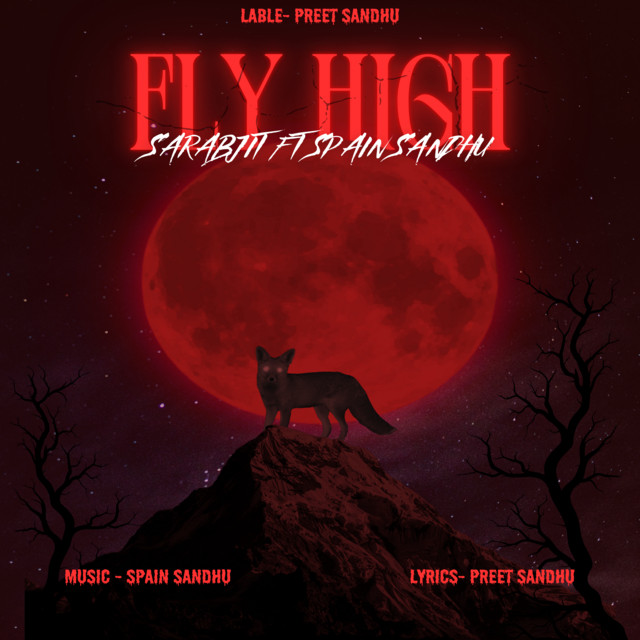Fly High