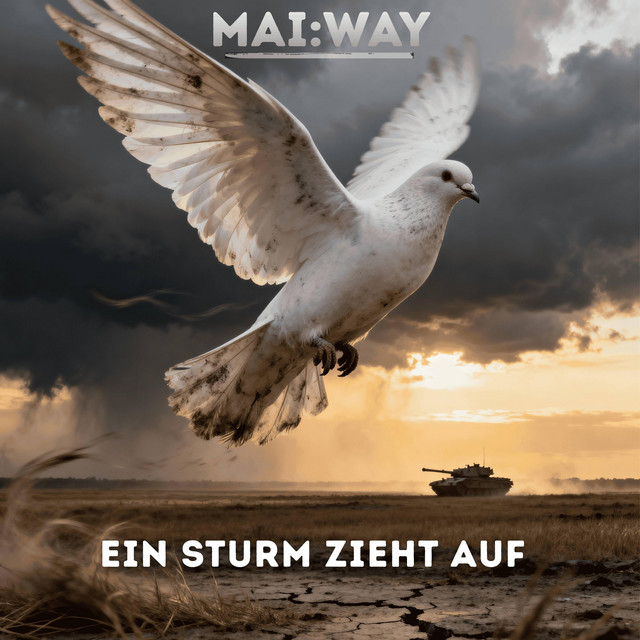 Ein Sturm zieht auf cover art