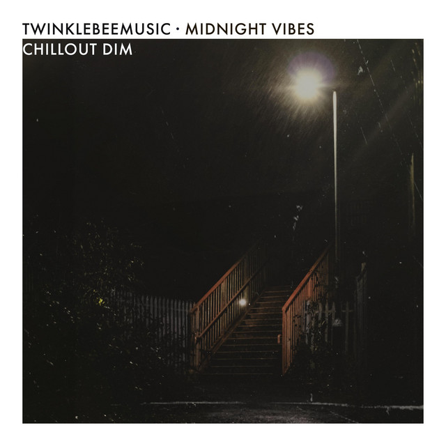 Обкладинка: midnight vibes — TwinkleBeeMusic