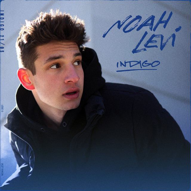 INDIGO cover