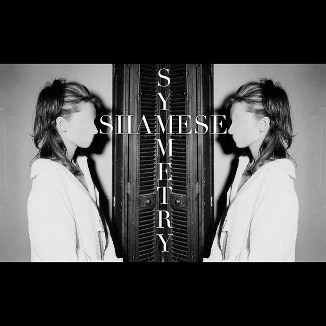 Symmetry cover