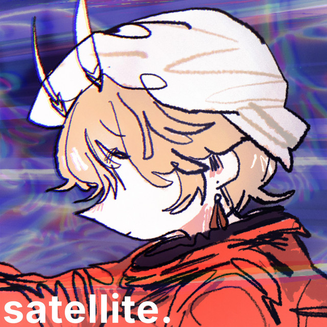 Satellite cover
