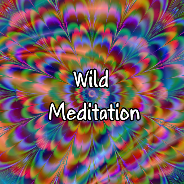 The Old Rocking Chair - song and lyrics by Asian Zen: Spa Music ...