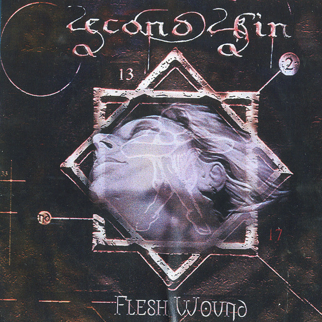 Flesh Wound cover art