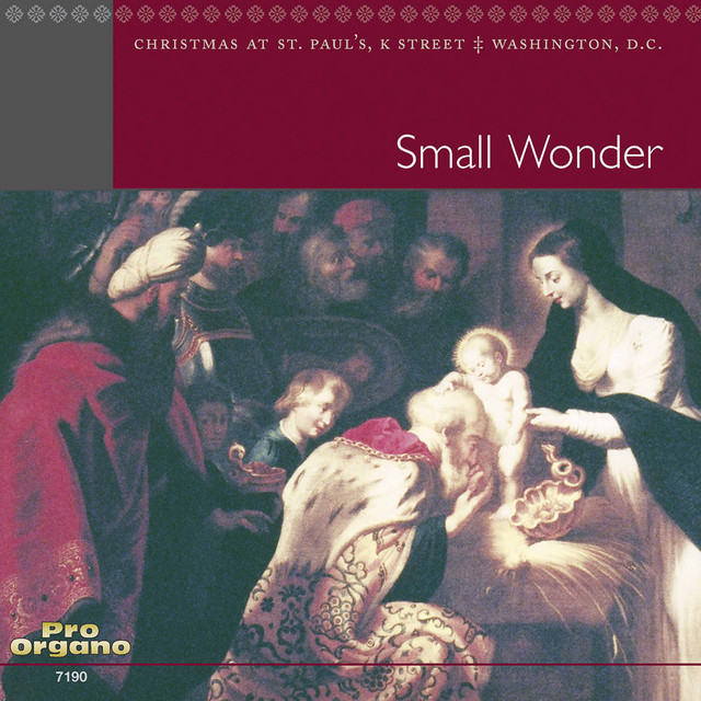 Small Wonder cover art