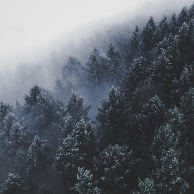 whispering pines cover