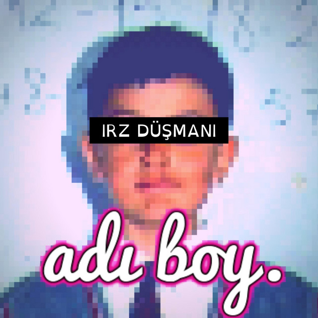 IRZ DÜŞMANI cover art