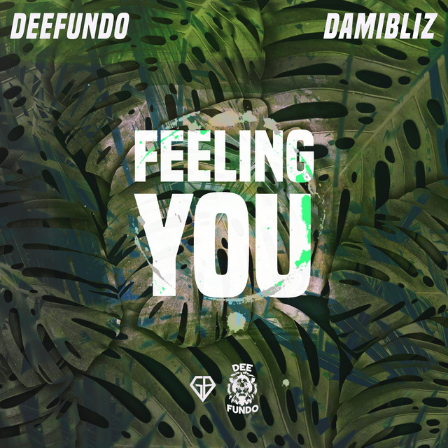 Feeling You cover art