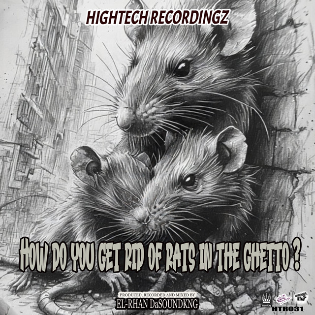 Rats in the ghetto