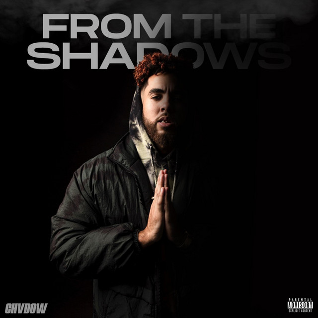 From the Shadows cover art