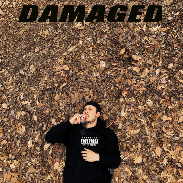 Damaged cover art