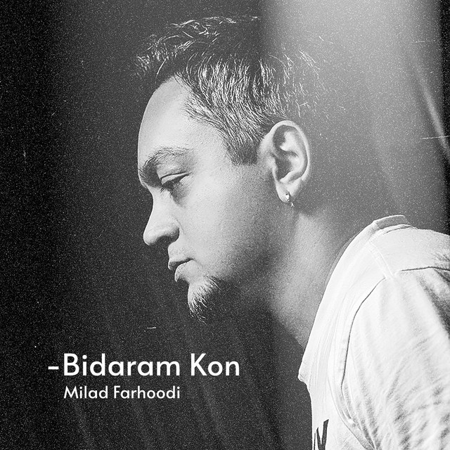 Milad Farhoodi
