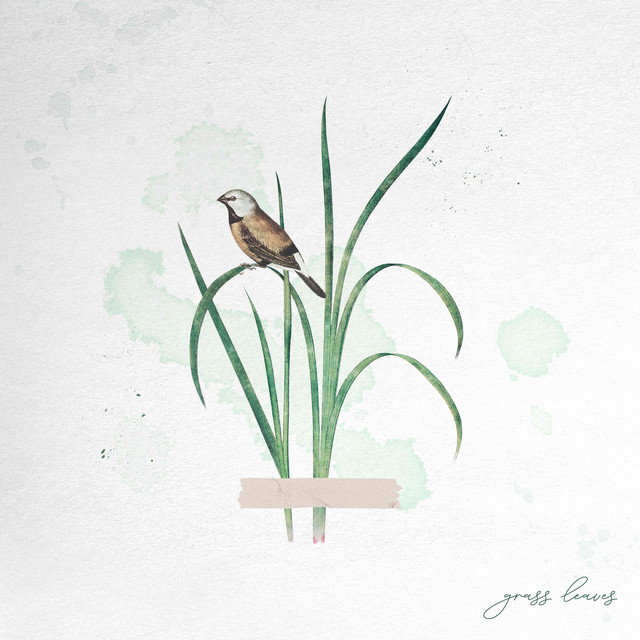 Обкладинка: grass leaves — T.Check