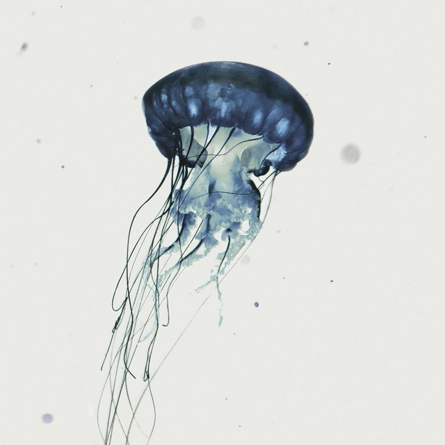 L'errante cover