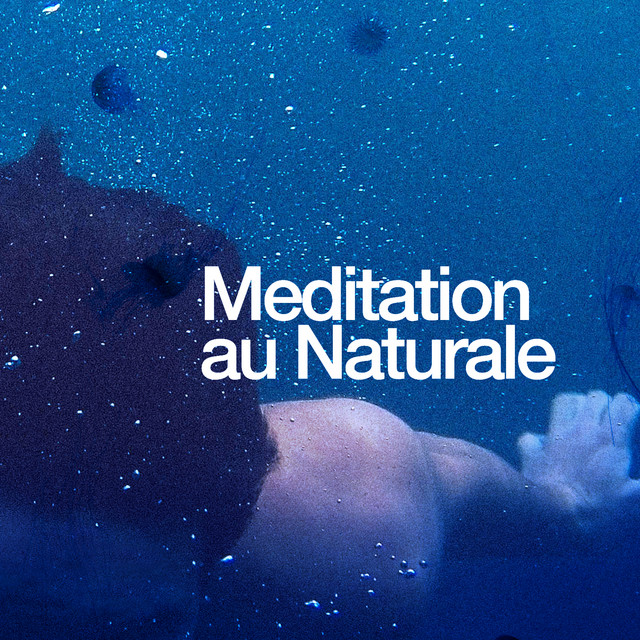 Meditation Au Naturale cover art